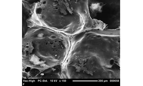 Cell structure microscope