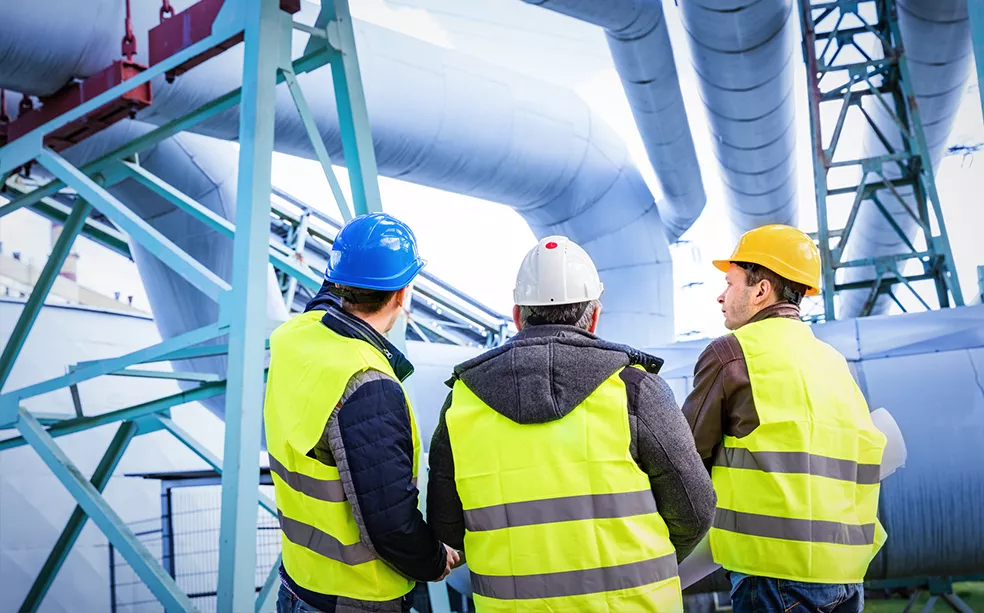 plant during shutdown