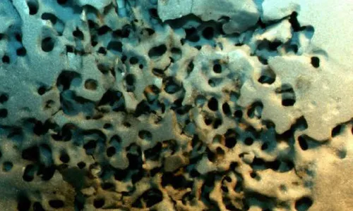 plastic foam insulation damage