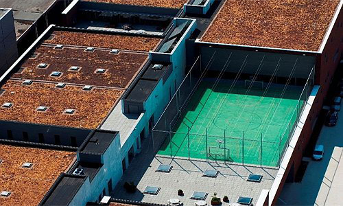 Sportdak Brandweerkazerne Antwerpen 01 image