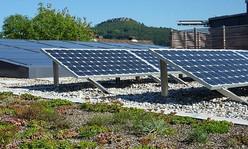 Gründach Oberlicht IBC Solar AG