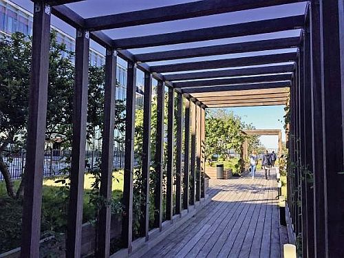 Erasmus MC Rotterdam Bomendak