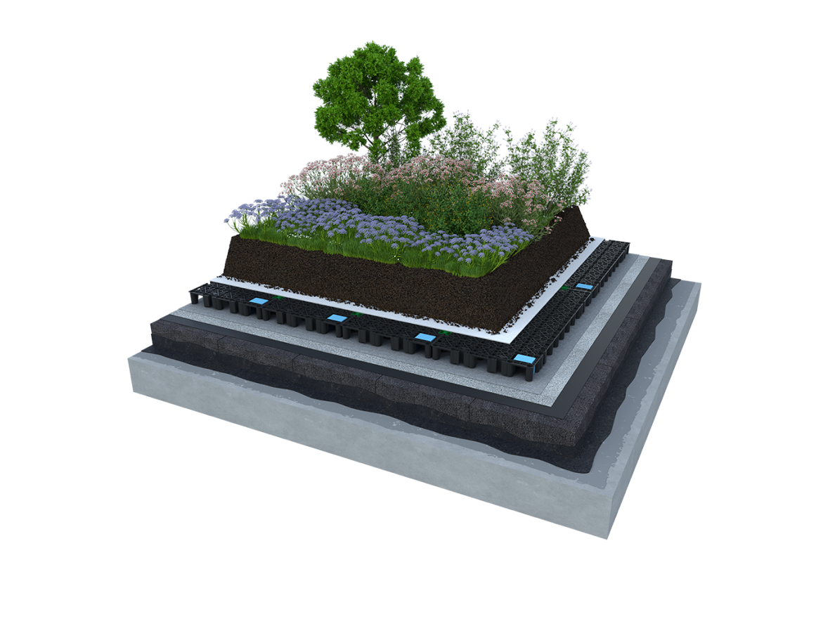 Retentionsdach Intensivbegrünung auf einem FOAMGLAS® KOMPAKTDACH