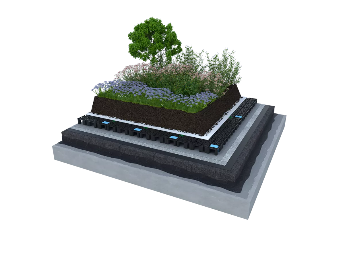 Retentionsdach Intensivbegrünung auf einem FOAMGLAS® KOMPAKTDACH