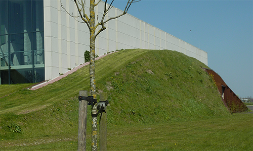 BUILD ON CARBON REDUCTION
