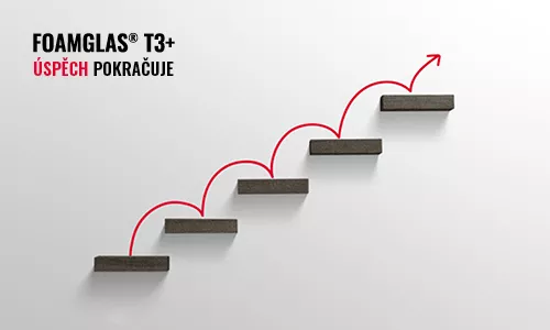 T3+ big size success story continues