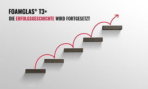 T3+ big size success story continues