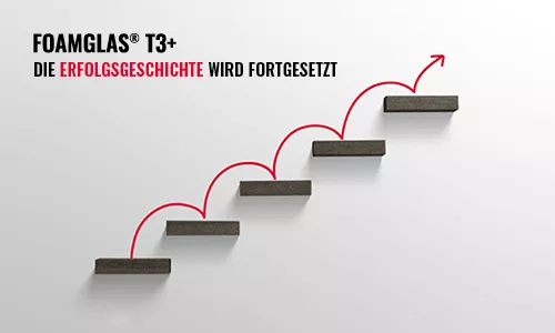 T3+ big size success story continues