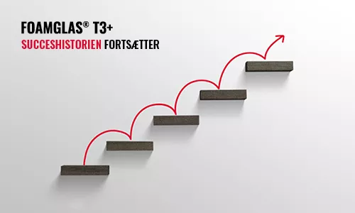 T3+ big size success story continues