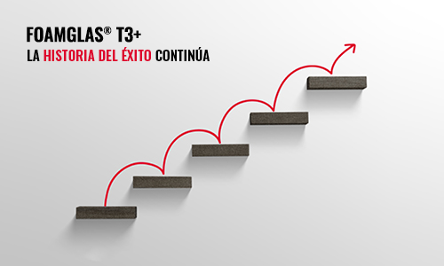 T3+ big size success story continues