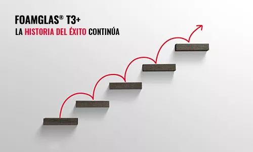 T3+ big size success story continues