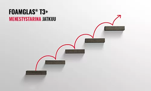 T3+ big size success story continues