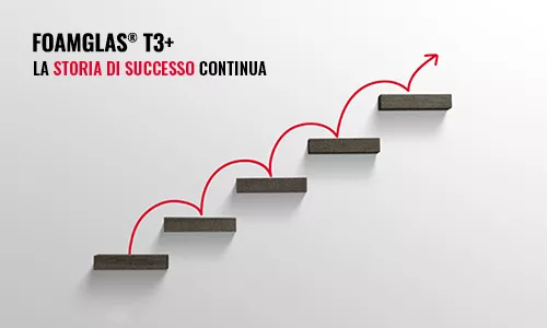 T3+ big size success story continues