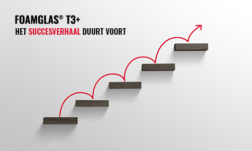 T3+ big size success story continues