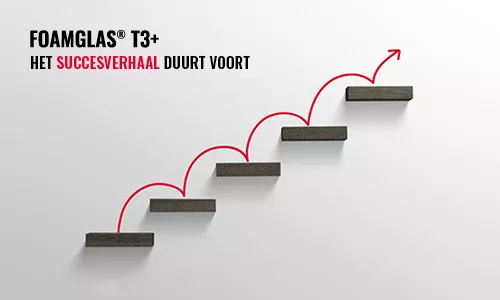 T3+ big size success story continues