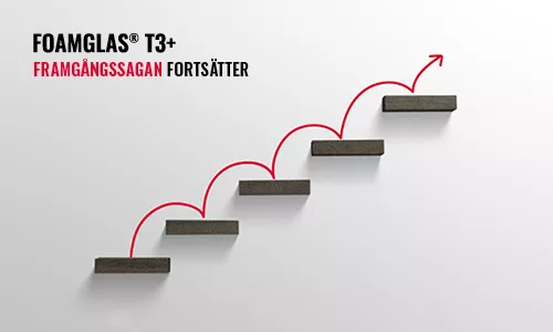 T3+ big size success story continues