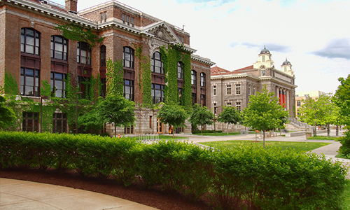 Syracuse3