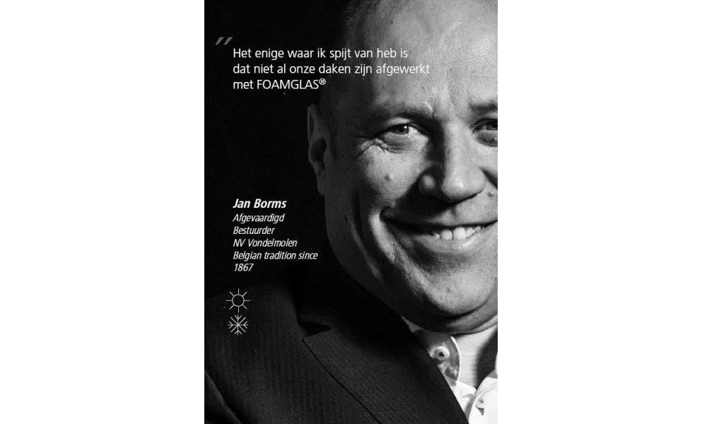 Jan Borms, Afgevaardigd Bestuurder NV Vondelmolen