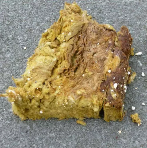 Damaged insulation