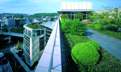Wuppertal Kohler with intensive greenery on rooftop